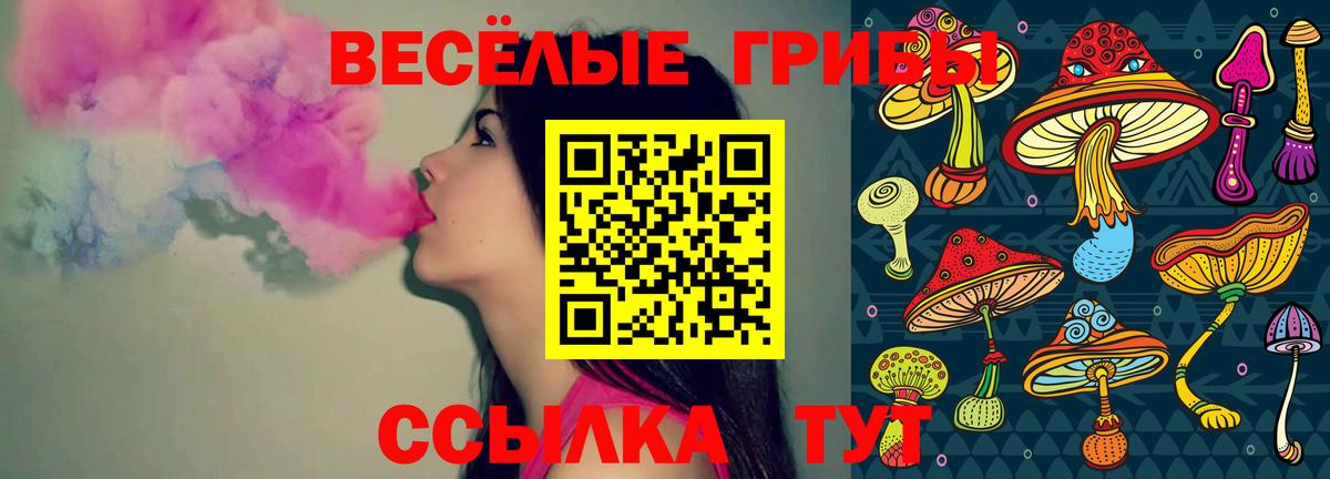 Псилоцибиновые грибы мухоморы Севастополь